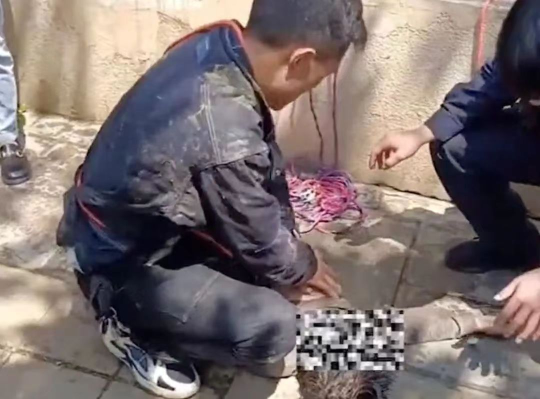 微信图片_20230530091115.jpg