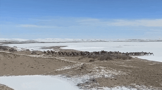 86e97848-0674-4d0d-85a8-29f86df62143.gif